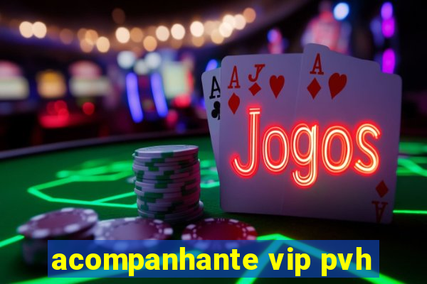 acompanhante vip pvh